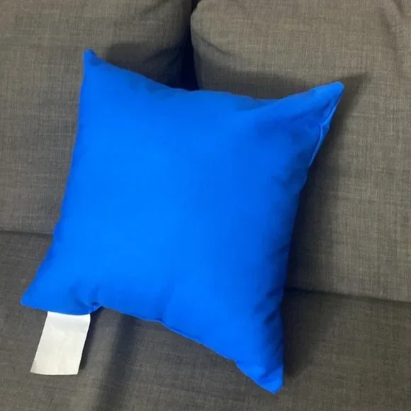 PARAMOUNT Pillow New without tags - Picture 4 of 4